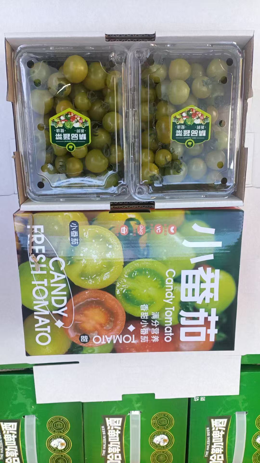 小番茄2