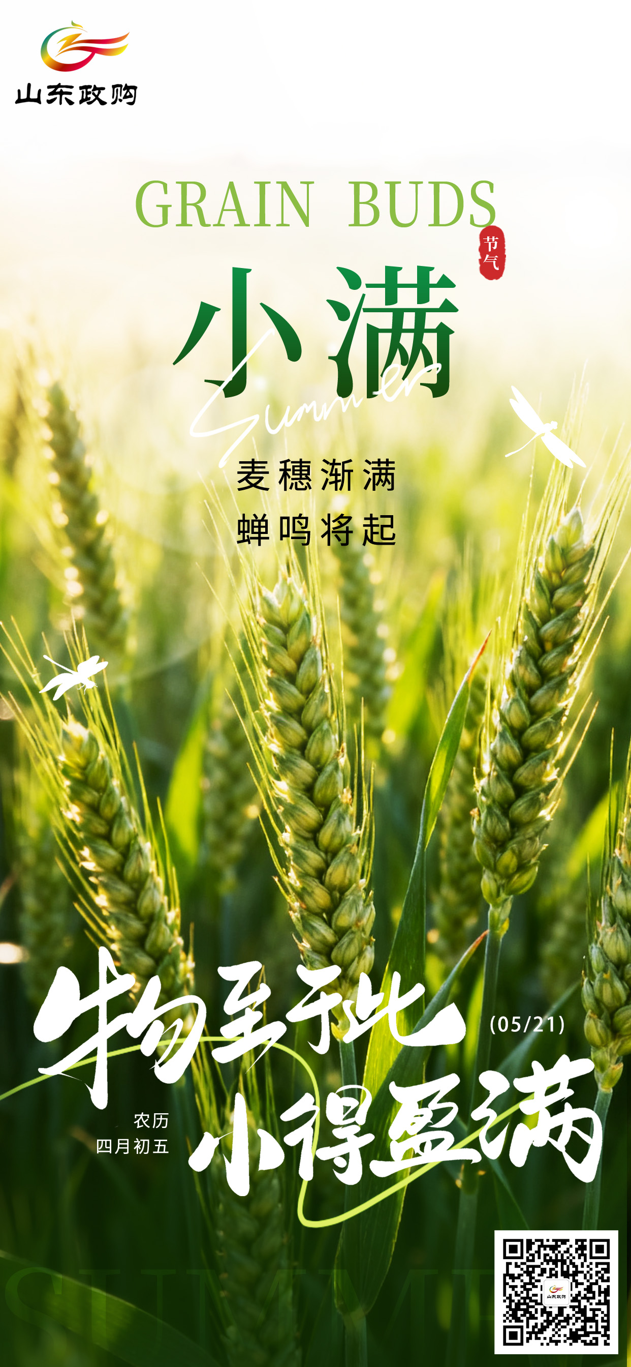 小满海报3